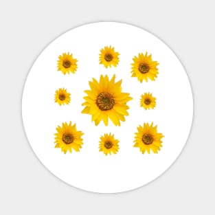 Sunflowers Bloom -  Hello Summer - Yellow Flowers Magnet